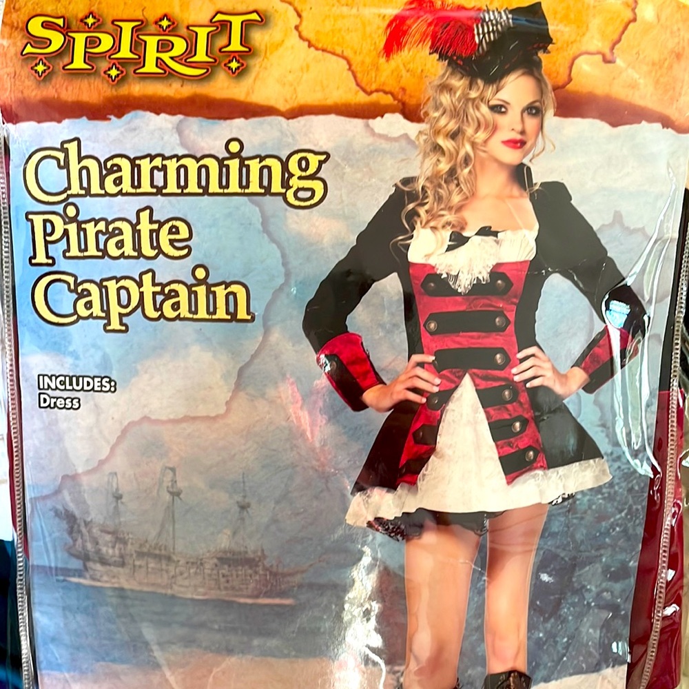 Charming Pirate Captain